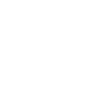 Bundesverbands Initiative 50 Plus Logo invertiert